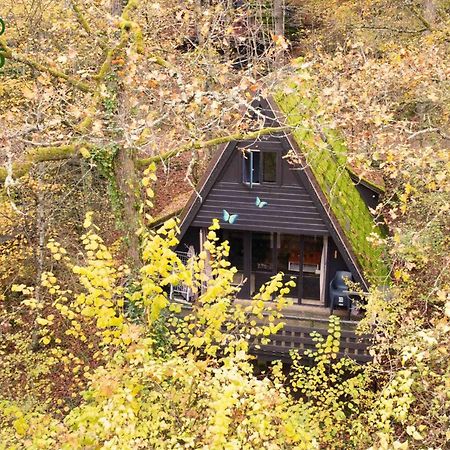 Durbuy Bungalow 194, Calme Et Nature Eksteriør billede